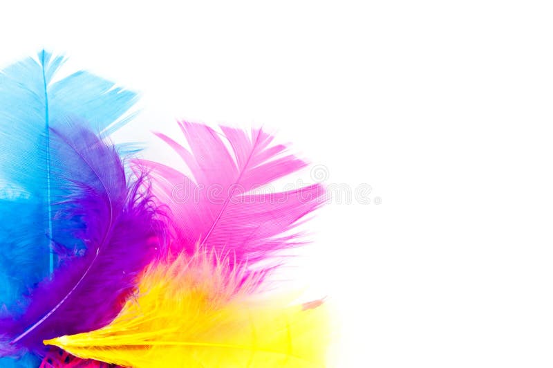 Colorfull feathers with copy-space
