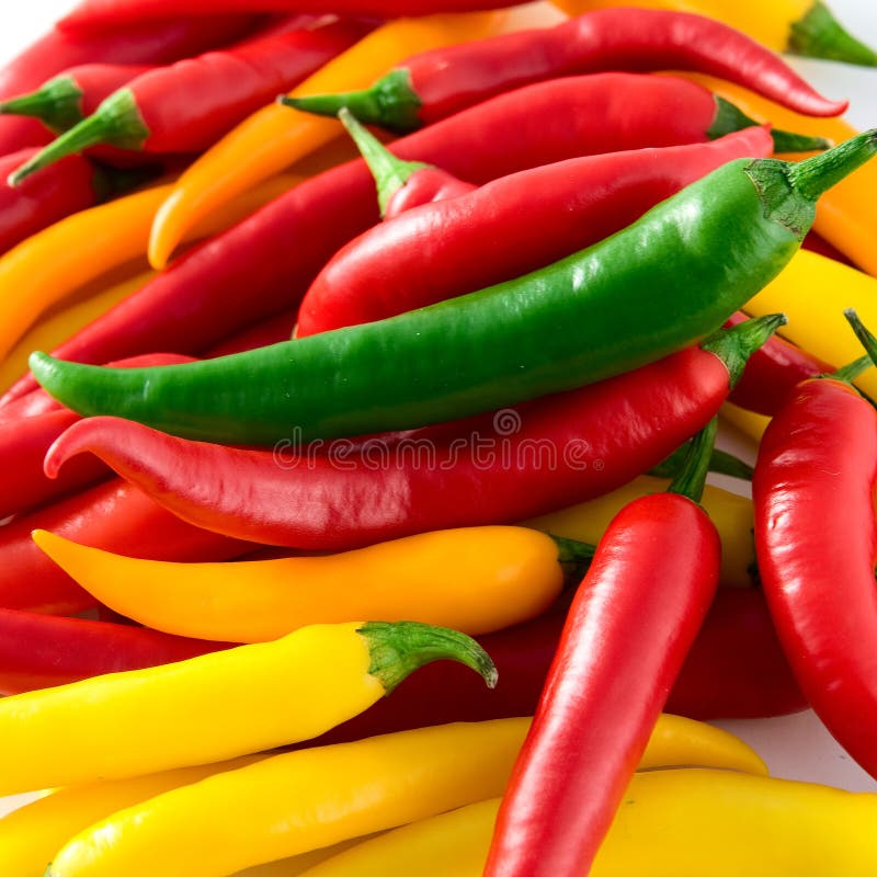 Colorfull hot chili pepper stock photo. Image of plate 7066736