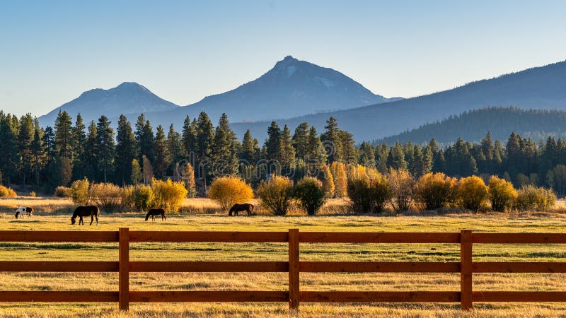 Colori caduti al tramonto con Mountain su Ranch sulla fattoria con recinzioni e cavalli in autunno