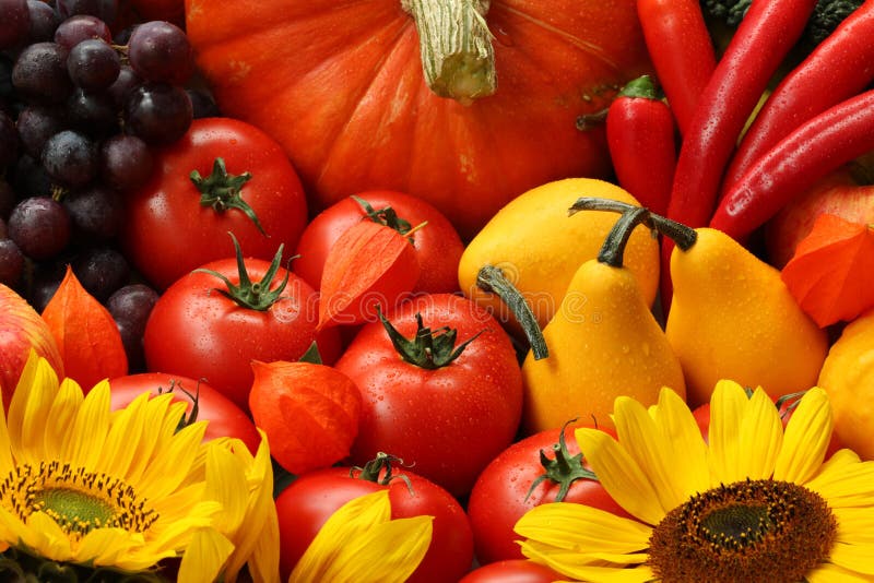 Colori dell'autunno fotografia stock libera da diritti Colori dell'autunno fotografia stock libera da diritti