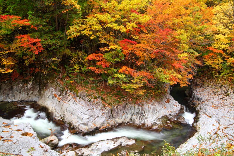 Colori di autunno della valle fotografia stock libera da diritti Colori di autunno della valle fotografia stock libera da diritti