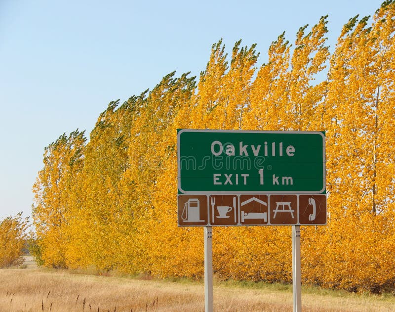 Colori di autunno vicino a Oakville, Manitoba fotografie stock libere da diritti Colori di autunno vicino a Oakville, Manitoba fotografie stock libere da diritti