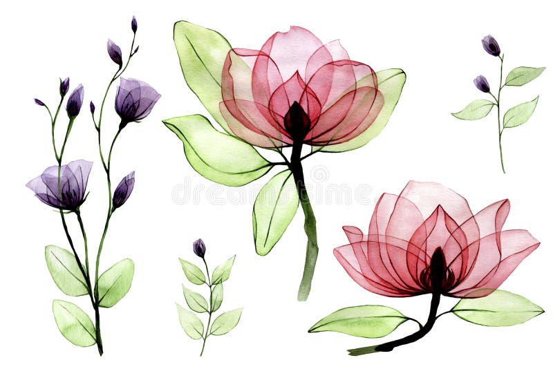 Colorido con flores transparentes. dibujo a mano vintage con rosas silvestres rosas y moradas sobre fondo blanco. d)