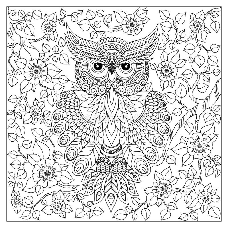 Coloring Books For Teens : Owls: Advanced Coloring Pages for Teenagers,  Tweens, Older Kids, Boys & Girls, Detailed Zendoodle Animal Designs,  Creative