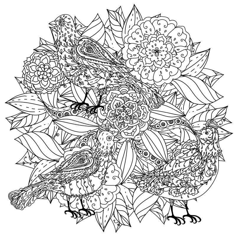 Birds adult coloring page stock illustration. Illustration of splendid ...