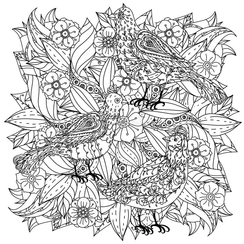 Birds adult coloring page stock illustration. Illustration of splendid ...