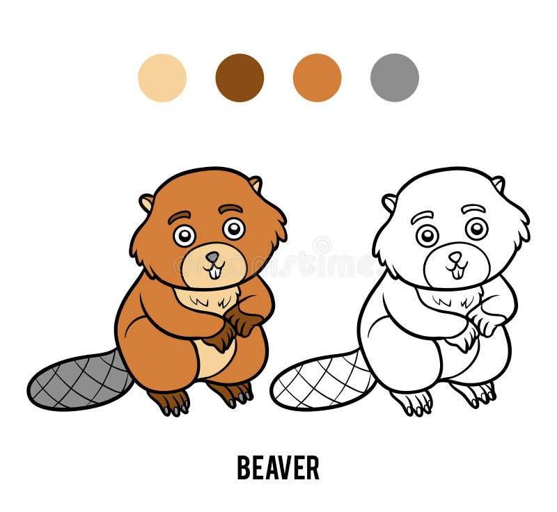 Beaver Coloring Page Stock Illustrations – 386 Beaver Coloring Page