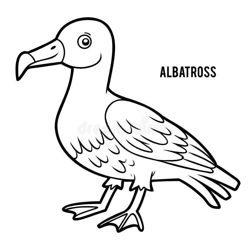Albatross Outline Vector Icon. Thin Line Black Albatross Icon, Flat