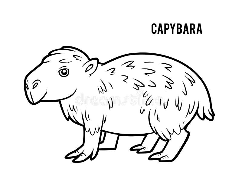 Vector Illustration Of Capybara Isolated On White Background For Kids  Coloring Book Stock Illustration - Download Image Now - iStock