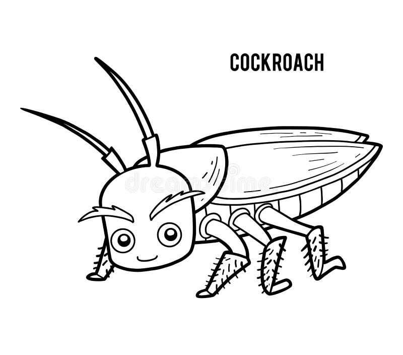 Coloring Book Cockroach Stock Vector Illustration Of Colorful 143887066