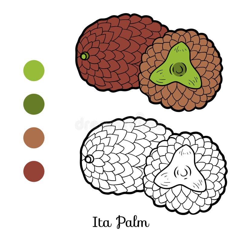 Coloring book for children: fruits and vegetables (Ita Palm)