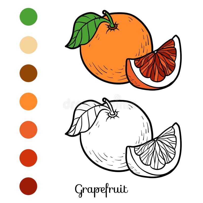 https://thumbs.dreamstime.com/b/coloring-book-children-grapefruit-coloring-book-grapefruit-111202064.jpg