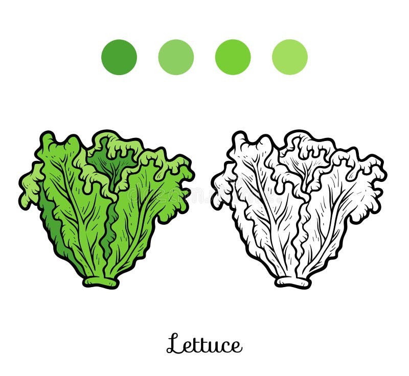 lettuce coloring page