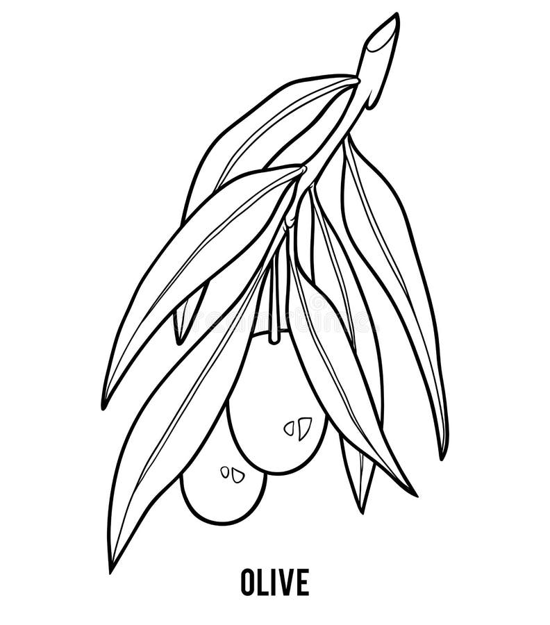 olive coloring page