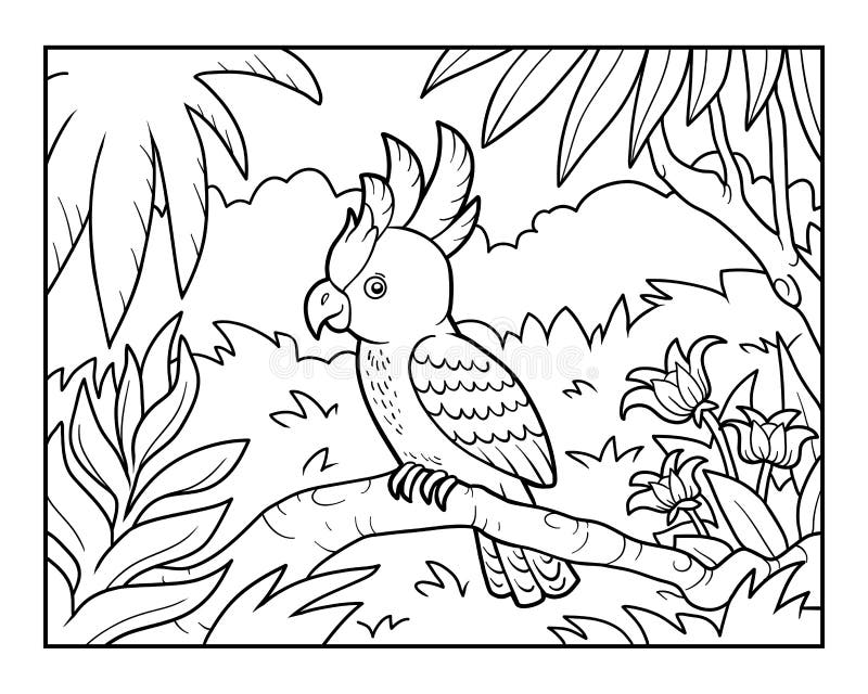 coloring parrot stock illustrations – 1290 coloring parrot