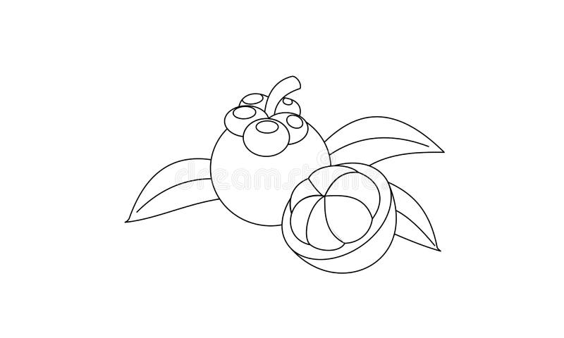 Coloring Book To Educate Preschool Kids Stock Vector - Illustration of