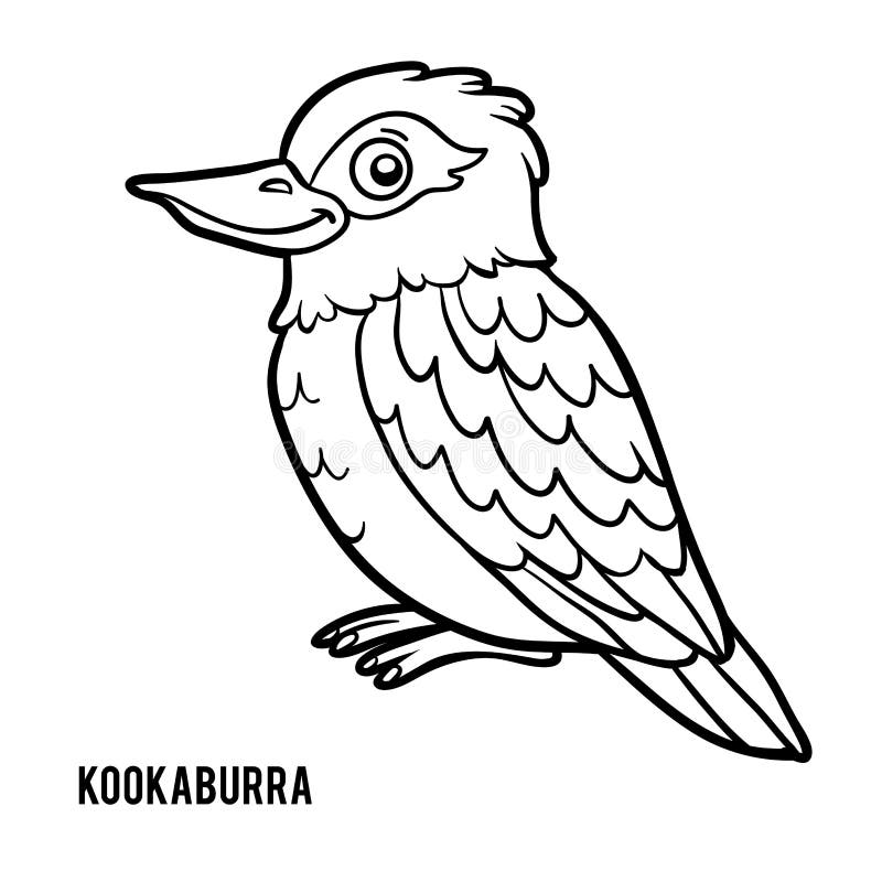 Download Coloring book, Kookaburra stock vector. Illustration of ...