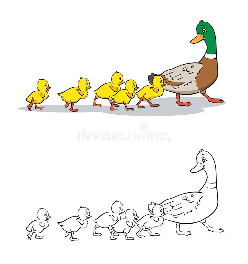 Coloring book or page Cartoon Illustration. Mother duck and ducklings. Mallard duck and baby ducklings. Coloring book or page Cartoon Illustration. Mother duck and ducklings. Mallard duck and baby ducklings.