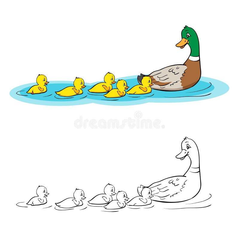 Coloring book or page Cartoon Illustration. Mother duck and ducklings. Mallard duck and baby ducklings. Coloring book or page Cartoon Illustration. Mother duck and ducklings. Mallard duck and baby ducklings.