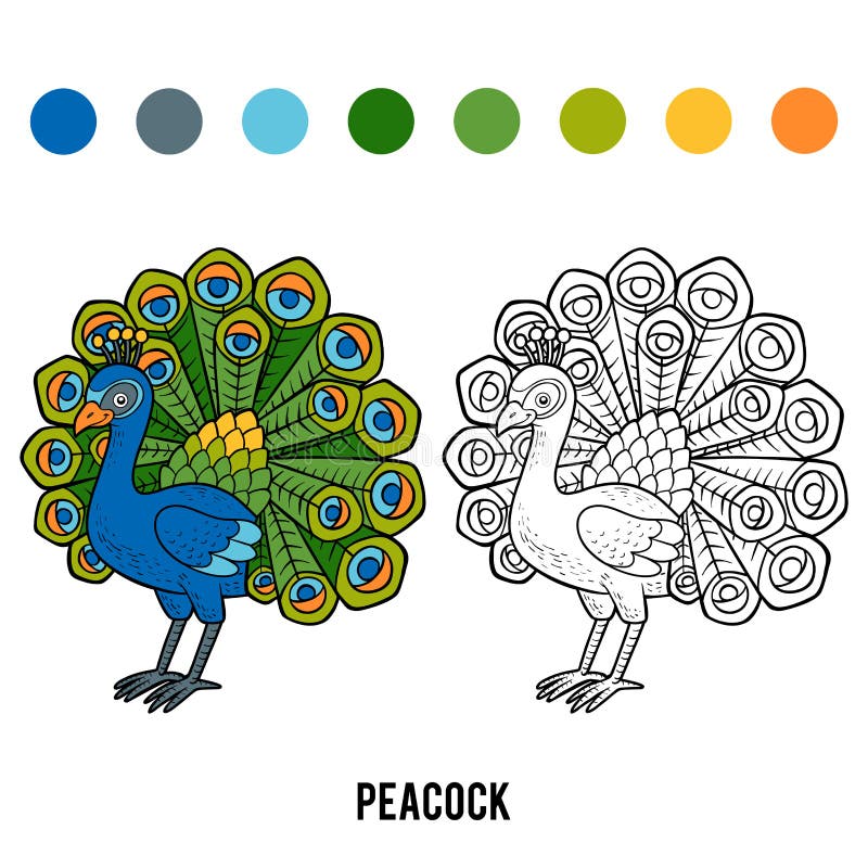Pecock Stock Illustrations – 20 Pecock Stock Illustrations, Vectors &  Clipart - Dreamstime