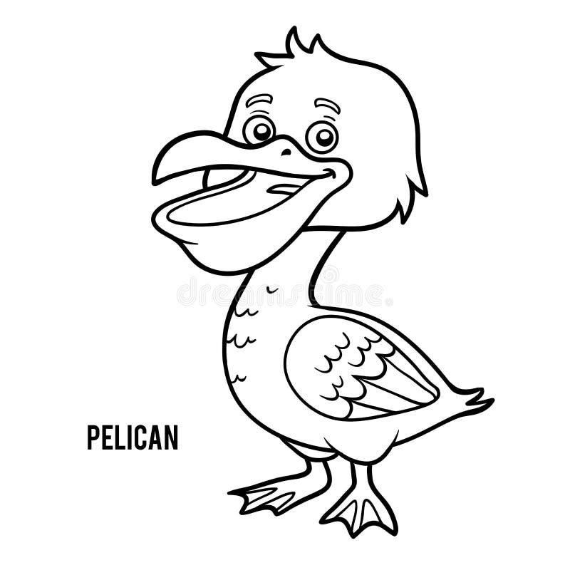 Coloring book, Pelican vector illustration Coloring book, Pelican vector illustration
