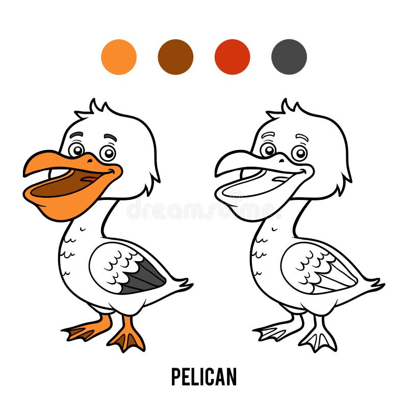 Coloring book, Pelican stock vector. Illustration of painting - 89755355