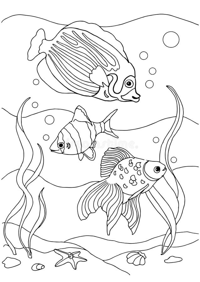 Coloring Book Fish Outline Stock Illustrations – 6,026 Coloring Book ...