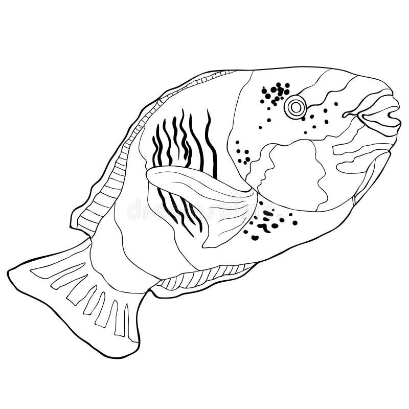 how to enhance parrot fish coloring pages