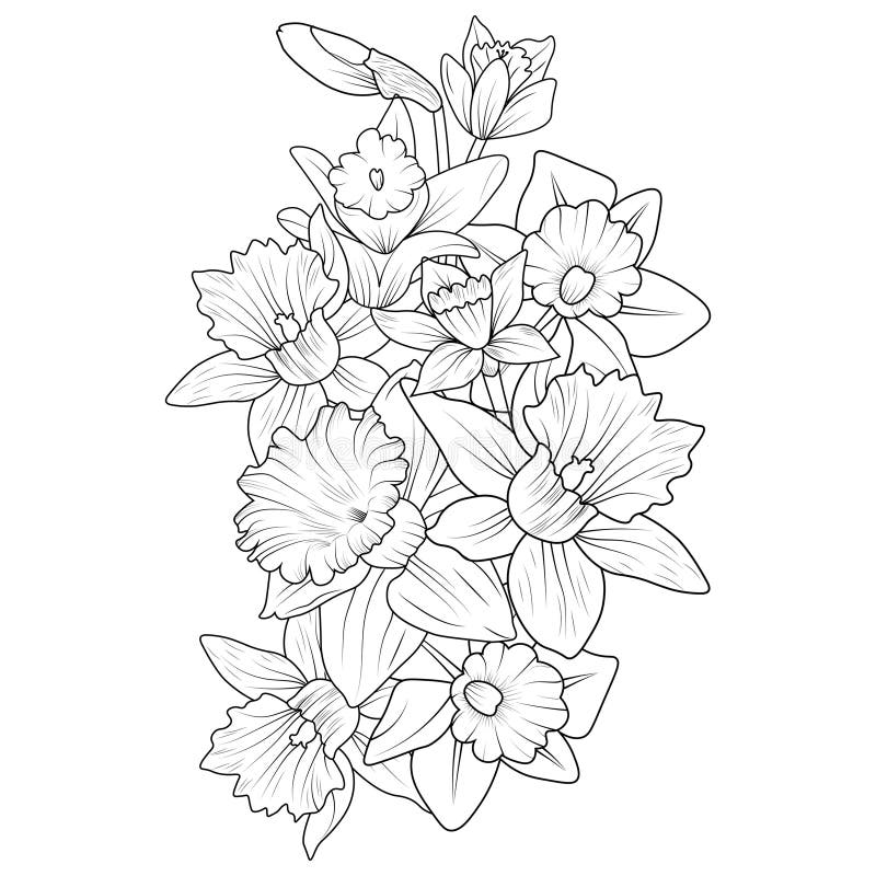 Flower Coloring Page for Adults, Sketch Frangipani Flower Drawing ...