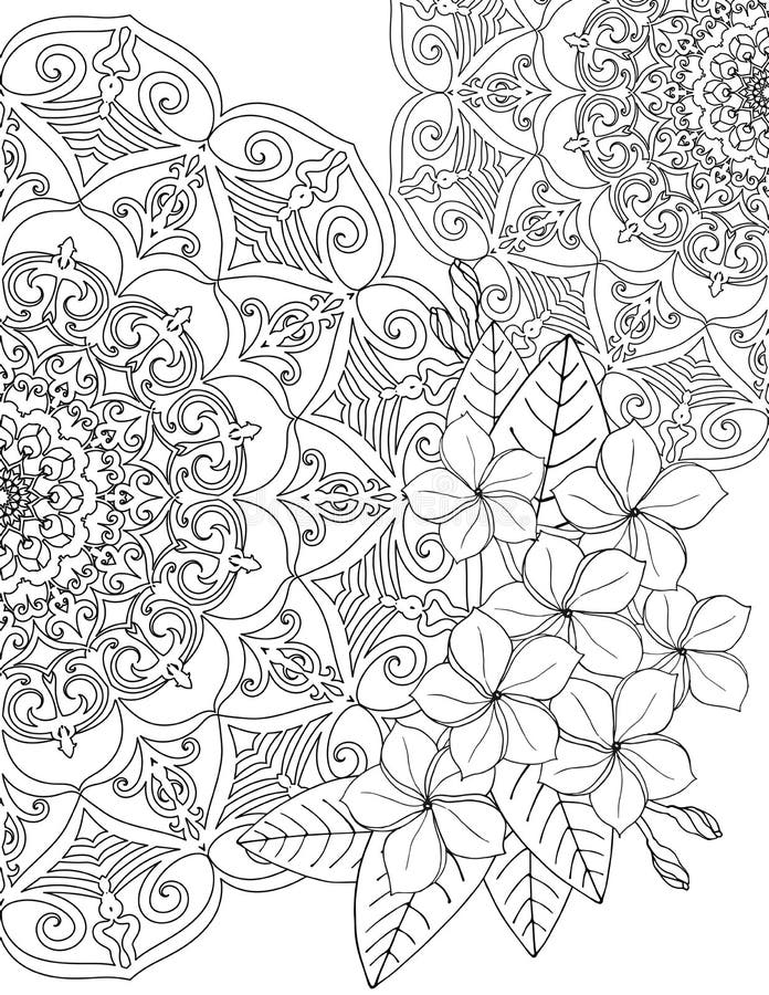 Coloring Page for Adults Mandala and a Beautiful Tropical Flowers Stock ...