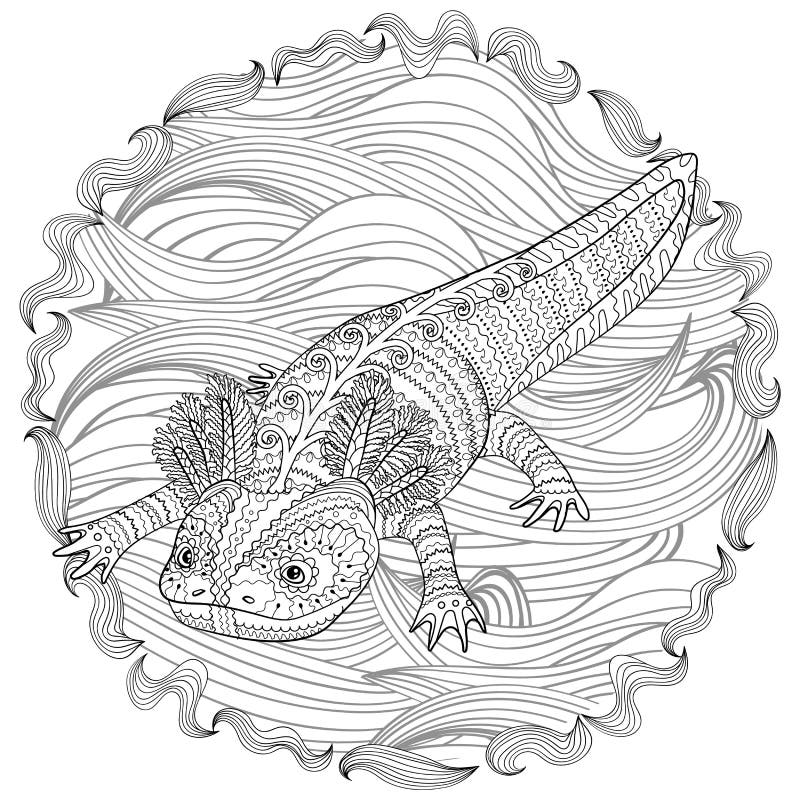 Axolotl Stock Illustrations – 574 Axolotl Stock Illustrations, Vectors