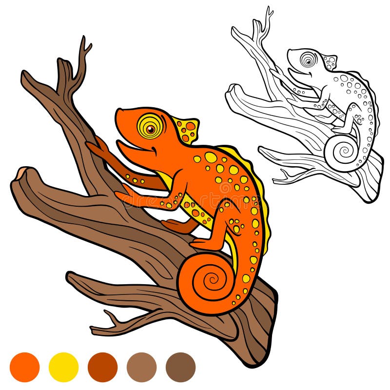 Chameleons, Silly Colouring and meeting Orange!, Colours for Kids