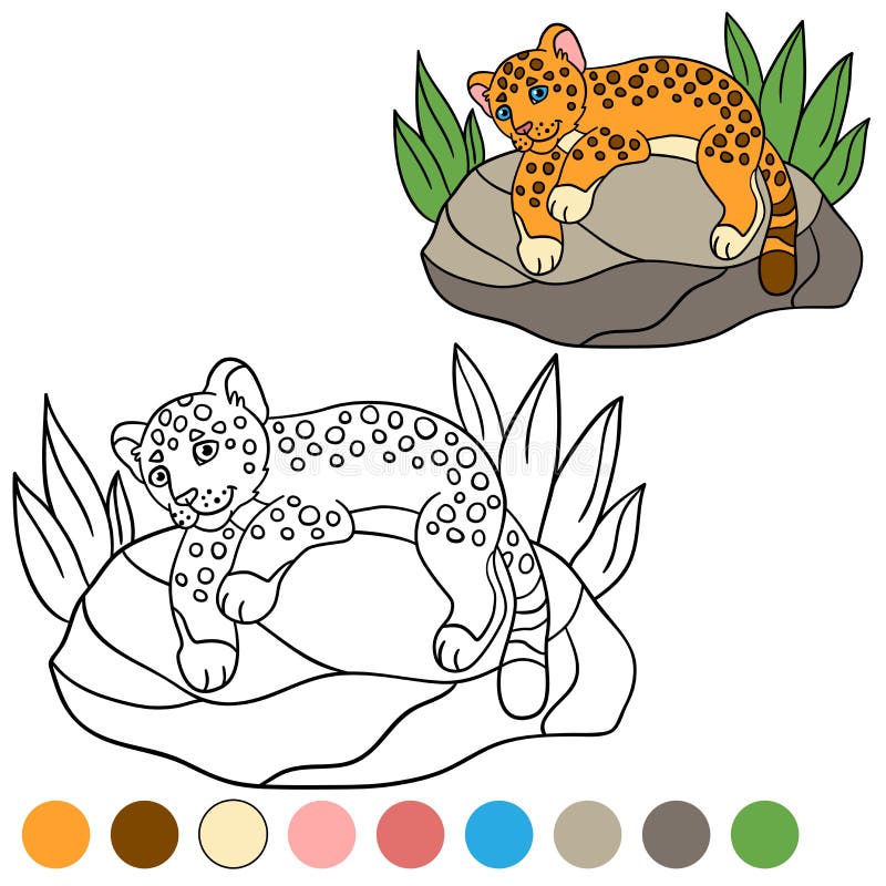 Coloring Page with Colors. Little Cute Baby Jaguar. Stock Vector
