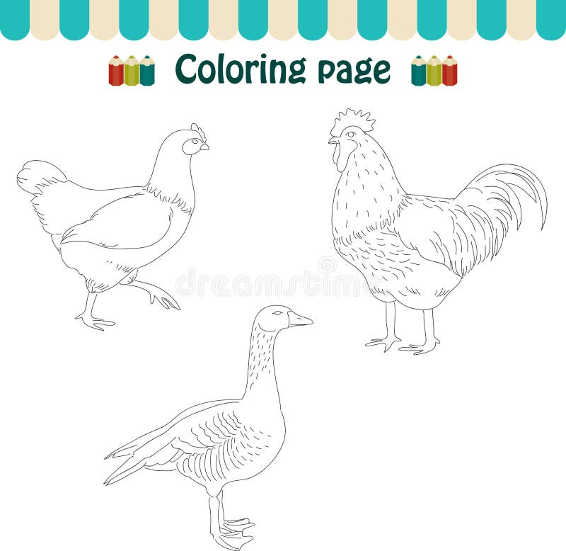 Coloring page farm birds