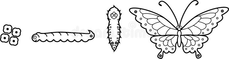 Coloring Page Life Cycle Of Butterfly Stock Vector Illustration Of Isolated Butterfly 120194856