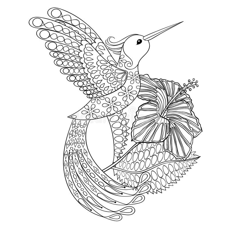 Download Coloring Page With Hummingbird In Hibiskus Zentangle Stock Vector Illustration Of Ethnic Doodle 61902001
