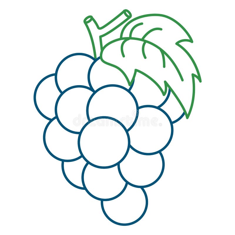 Featured image of post Simple Grapes Coloring Page Or search for what you are looking for