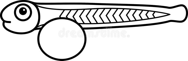Coloring Page with Larva of Cartoon Fish with Yolk Sac Stock Vector -  Illustration of ontogenesis, white: 142314045