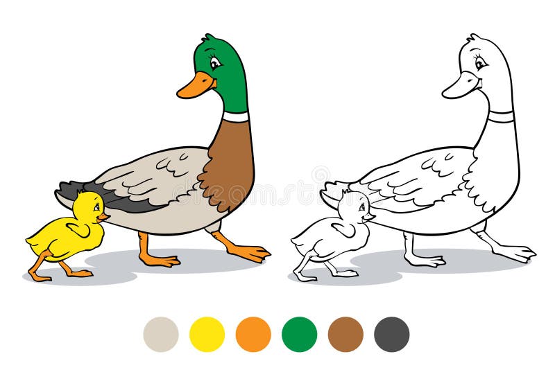 Coloring book or page. Mother duck and ducklings. Mallard duck and baby ducklings. Coloring book or page. Mother duck and ducklings. Mallard duck and baby ducklings.