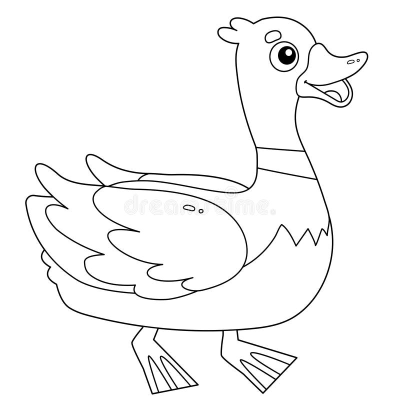 Coloring Page Outline of Cartoon Duck or Drake. Farm Animals Stock Vector -  Illustration of coloring, colour: 166327405