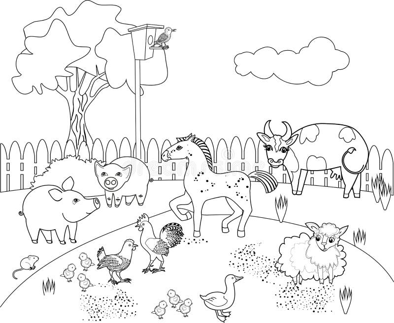 domestic animals pictures for colouring