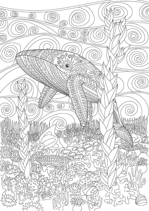 humpback whale coloring pages