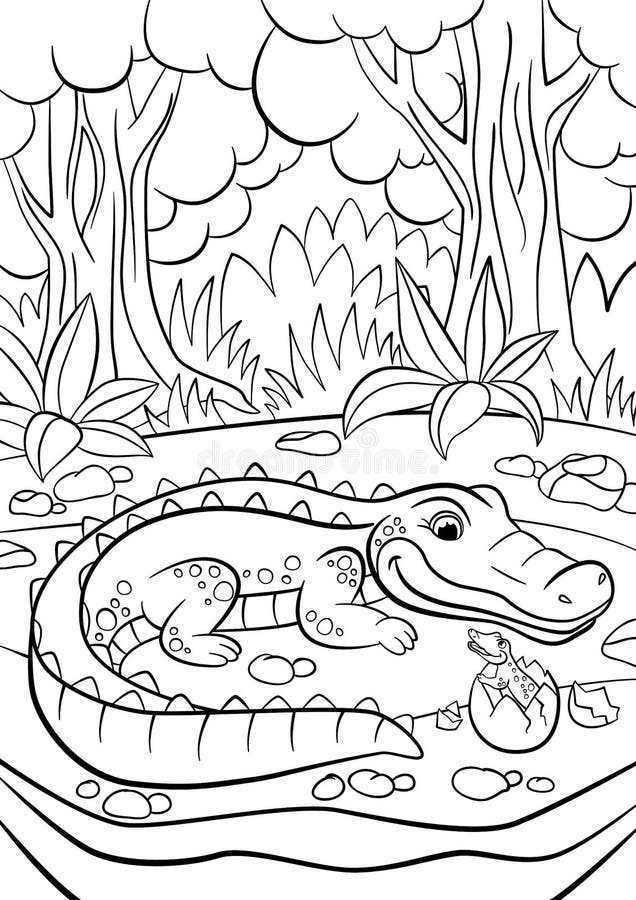 Mother Alligator Stock Illustrations 61 Mother Alligator Stock Illustrations Vectors Clipart Dreamstime
