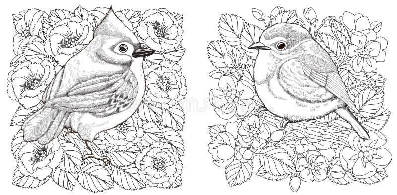 Coloring Pages with Birds and Flowers Stock Vector   Illustration ...