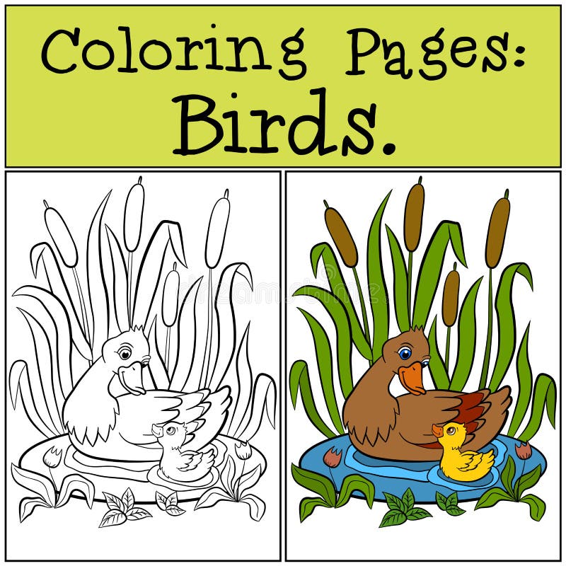 Download Coloring Pages: Birds. Mother Duck With Her Little Cute ...