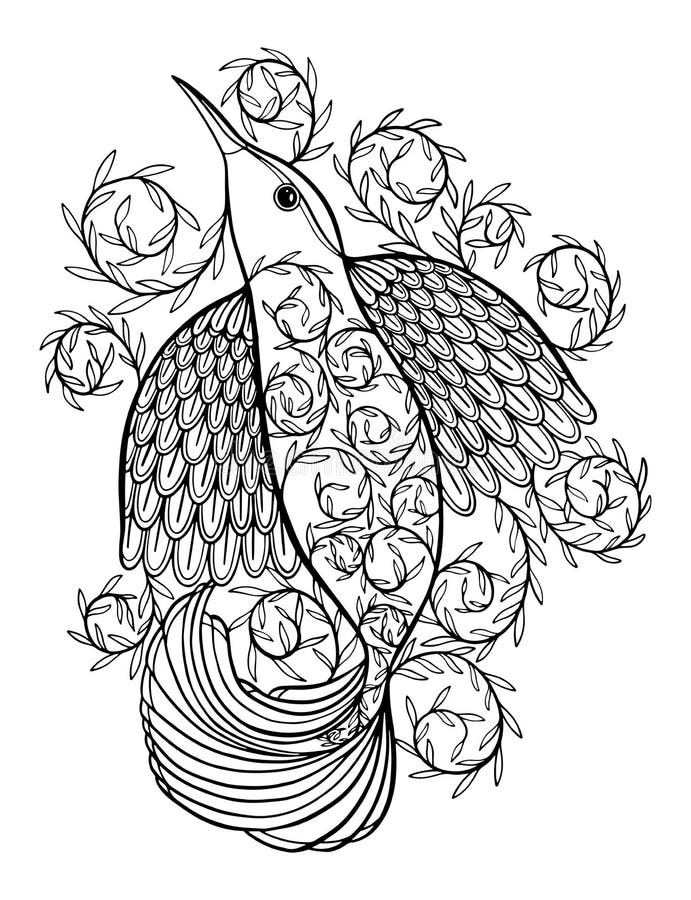 black throated gray turkey coloring pages