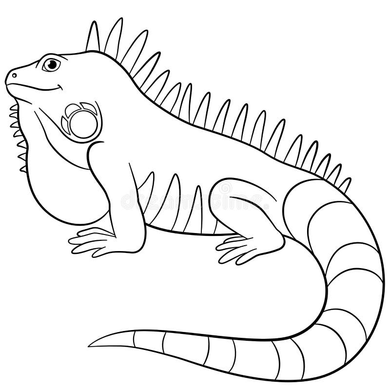 Coloring Pages Cute Iguana Smiles Stock Vector Illustration Of Drawing Colorless 87360655