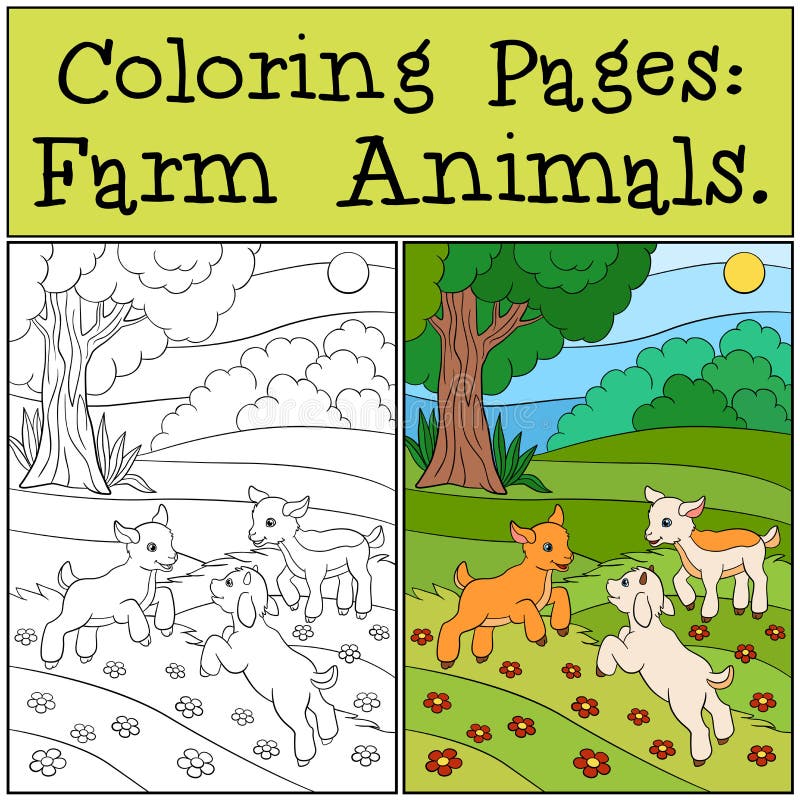 Coloring Pages: Farm Animals. Three little cute baby goats play on the field. Coloring Pages: Farm Animals. Three little cute baby goats play on the field.