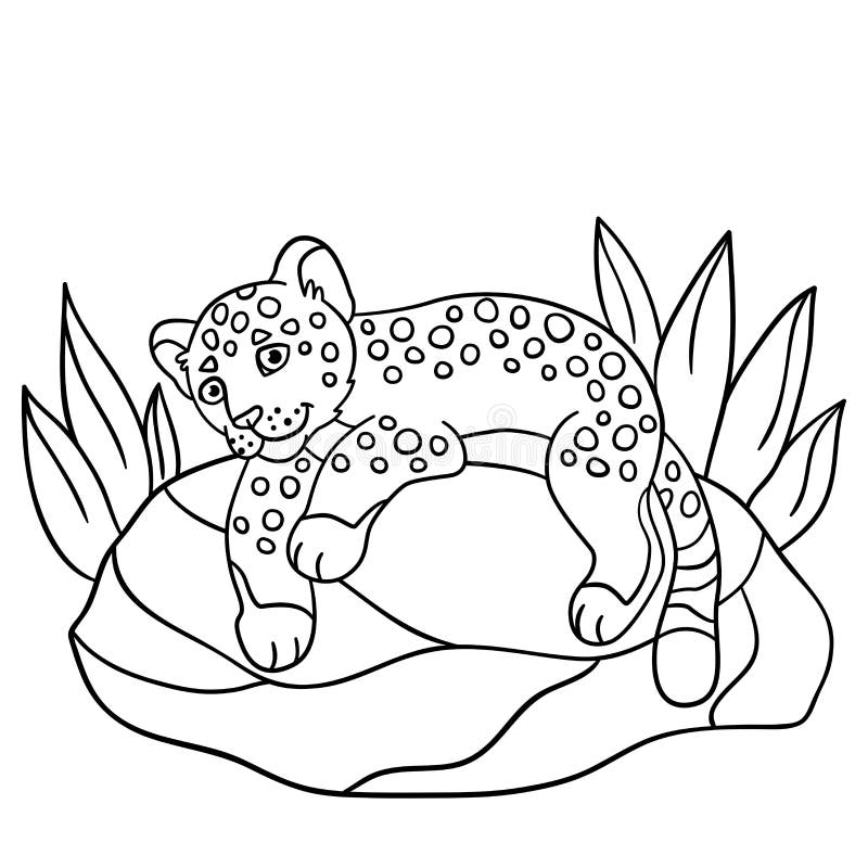 Coloring Pages. Little Cute Baby Jaguar on the Stone. Stock Vector