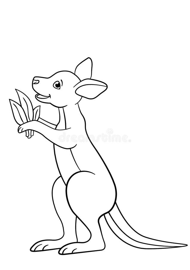 Coloring Pages Little Cute Baby Kangaroo Smiles Stock Vector Illustration Of Drawing Baby 116528317